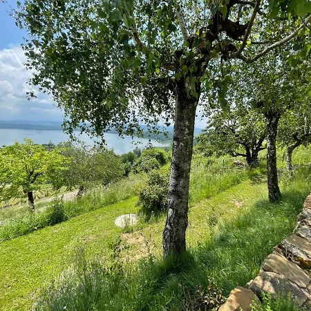 Traumhaftes Ferienhaus Mit See- Und Alpenblick וילה Guevaux